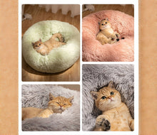 Load image into Gallery viewer, SnoozeMaxxer | A Fluffy Feline Retreat