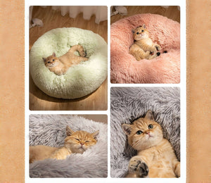 SnoozeMaxxer | A Fluffy Feline Retreat